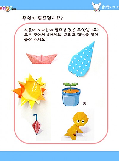 과학교실6/꽃씨를심어요/1세트/10개/감성