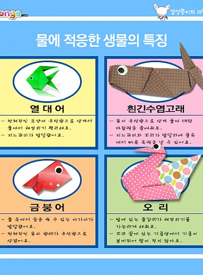 과학교실12/환경과생물/1세트/10개/감성