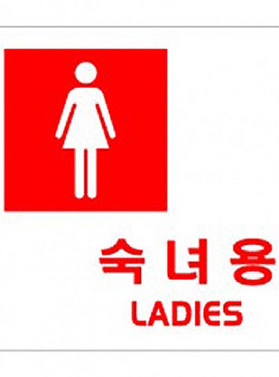 숙녀용/LADIES/100*100*2/0402