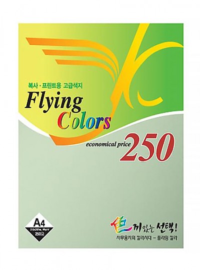 삼원 플라잉칼라250/10번 연못색 A4 80g 250매