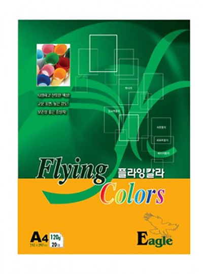 플라잉칼라 A4 이글 E38