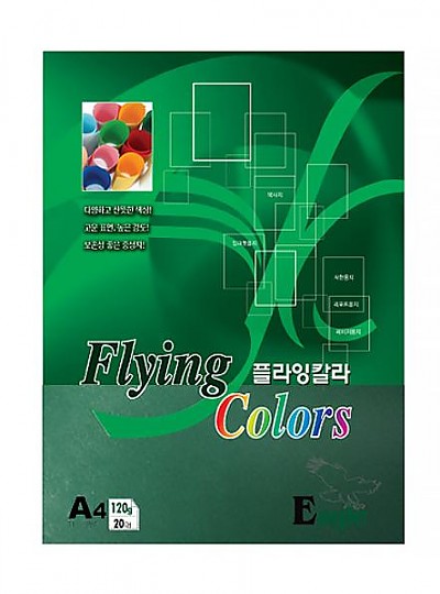 플라잉칼라 A4 이글 E41